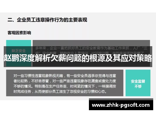 赵鹏深度解析欠薪问题的根源及其应对策略