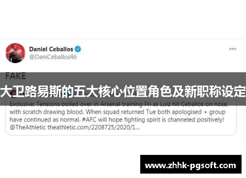 大卫路易斯的五大核心位置角色及新职称设定