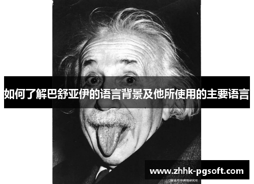 如何了解巴舒亚伊的语言背景及他所使用的主要语言