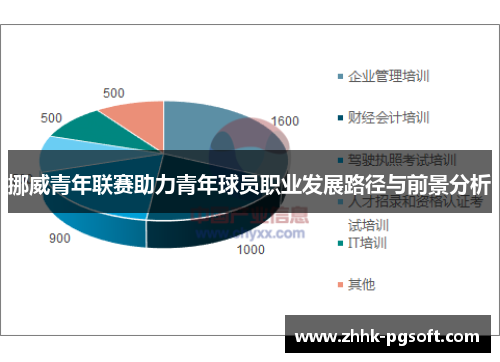 挪威青年联赛助力青年球员职业发展路径与前景分析